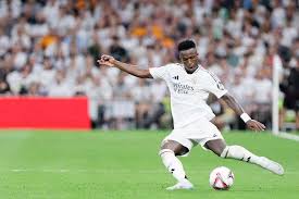 理念完美实 理念完美实